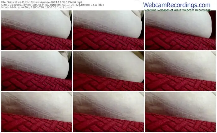 2024/12/31/sakuralivejp-aynnee-19-54-16