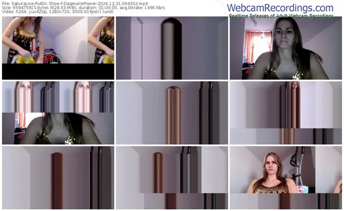 2024/12/31/sakuralivejp-dagmariepower-06-43-02