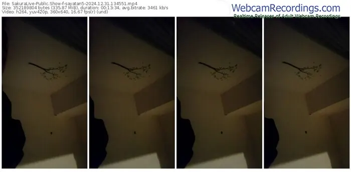 2024/12/31/sakuralivejp-sayatan5-13-45-51