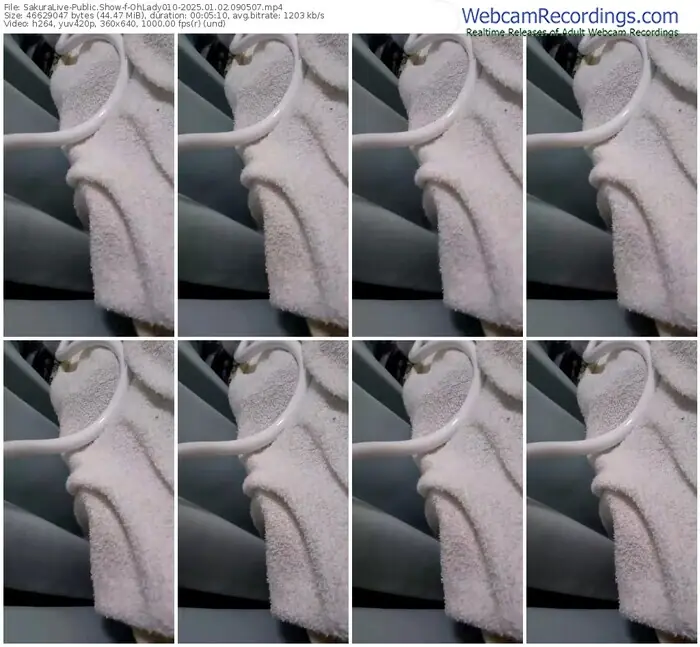 2025/01/02/sakuralivejp-ohlady010-09-05-07