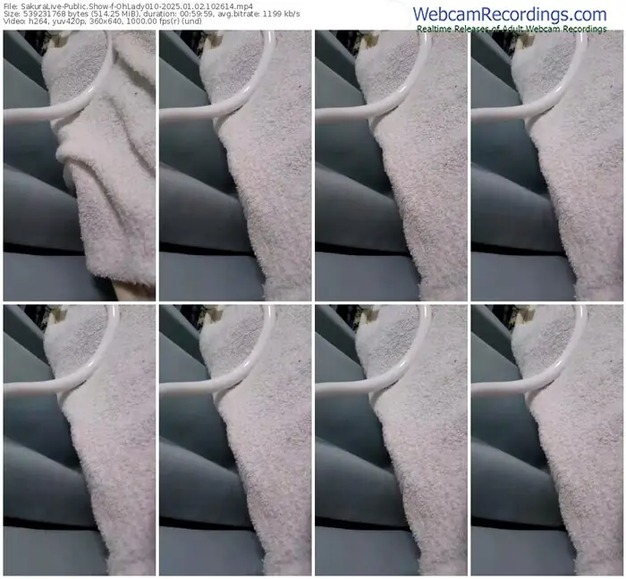 2025/01/02/sakuralivejp-ohlady010-10-26-14