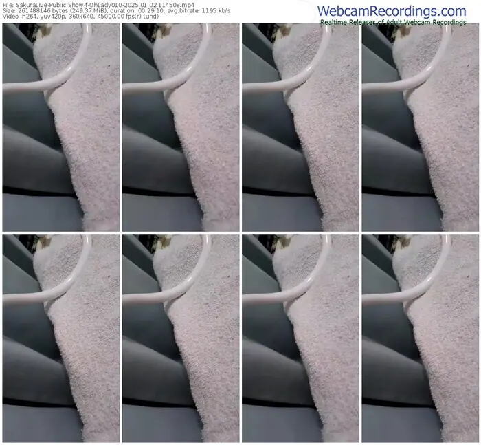 2025/01/02/sakuralivejp-ohlady010-11-45-08