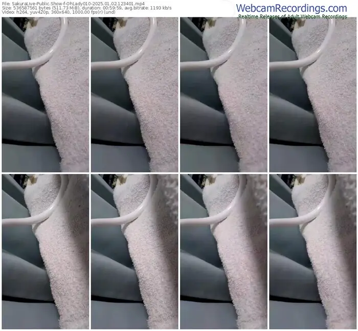 2025/01/02/sakuralivejp-ohlady010-12-34-01