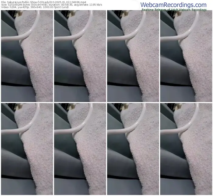 2025/01/02/sakuralivejp-ohlady010-13-49-36