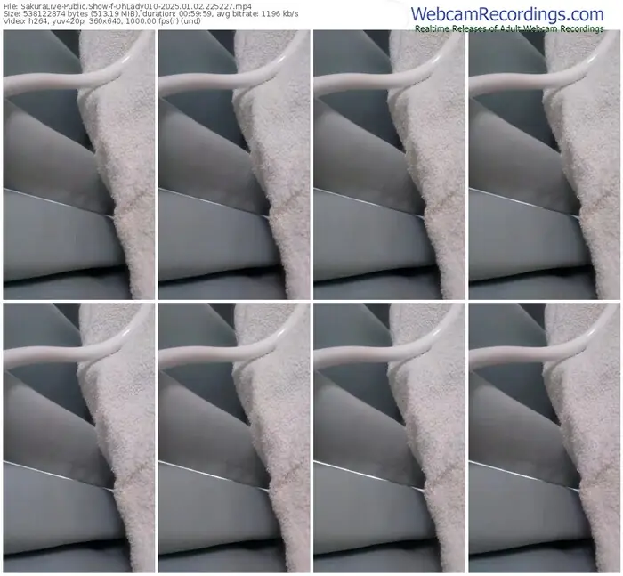 2025/01/02/sakuralivejp-ohlady010-22-52-27