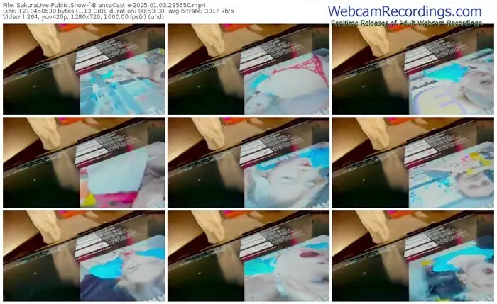 2025/01/03/sakuralivejp-biancacastle-23-56-50