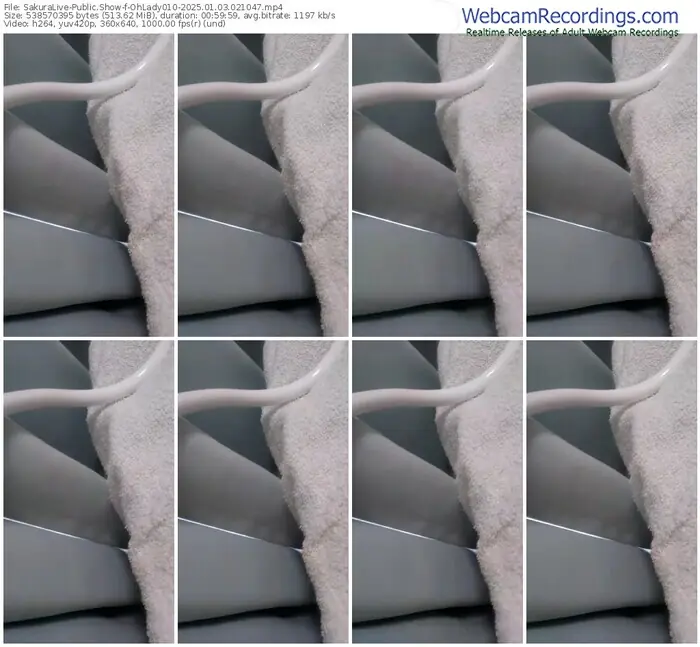 2025/01/03/sakuralivejp-ohlady010-02-10-47