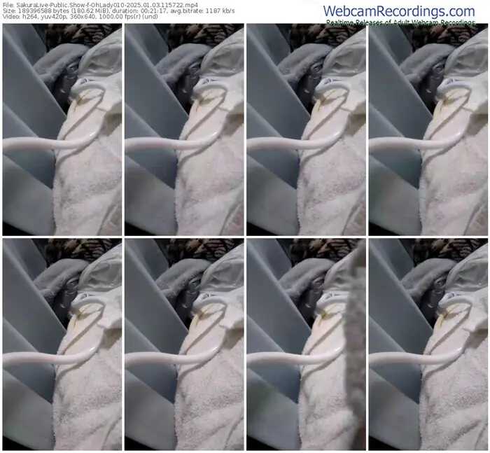 2025/01/03/sakuralivejp-ohlady010-11-57-22