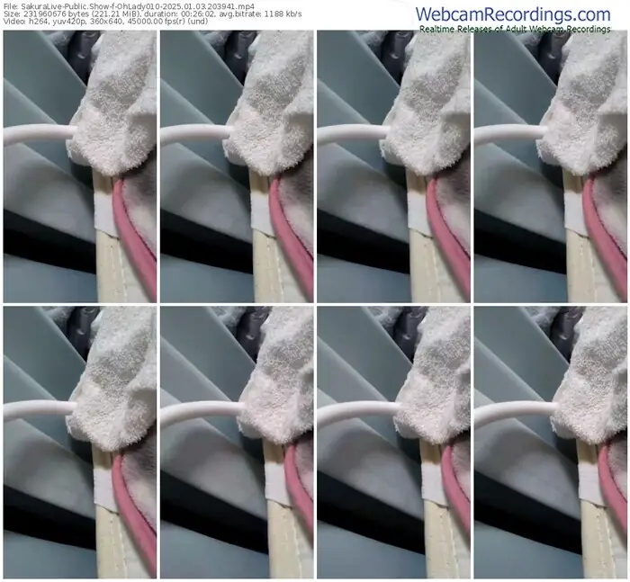 2025/01/03/sakuralivejp-ohlady010-20-39-41