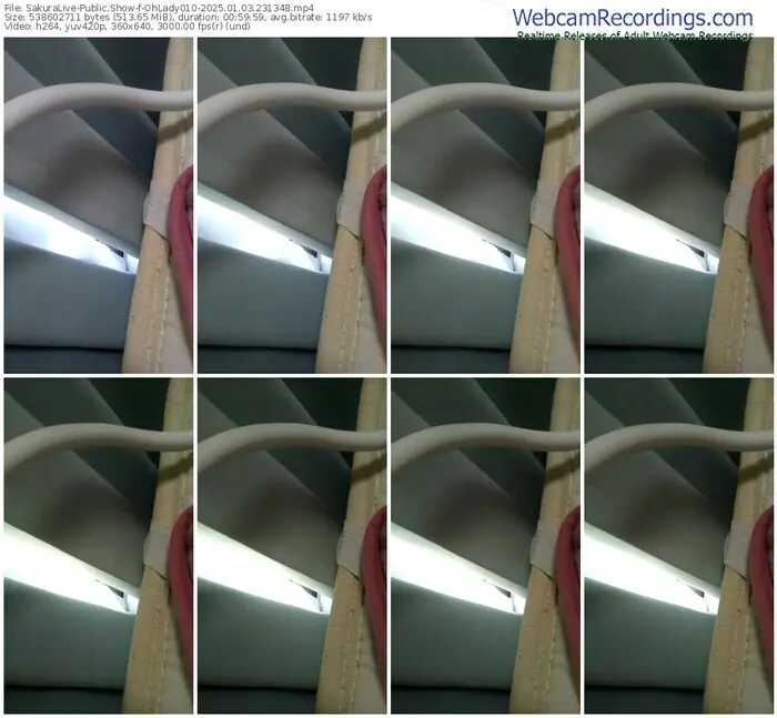 2025/01/03/sakuralivejp-ohlady010-23-13-48