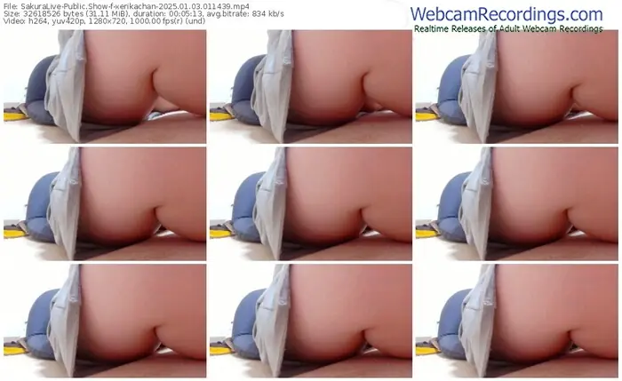 2025/01/03/sakuralivejp-xerikachan-01-14-39