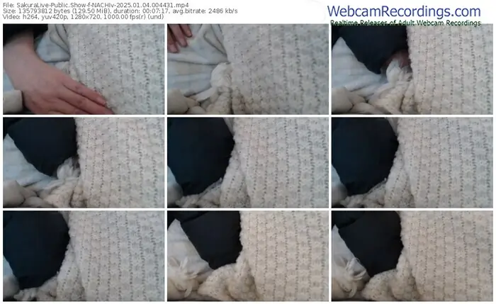 2025/01/04/sakuralivejp-nachiv-00-44-31