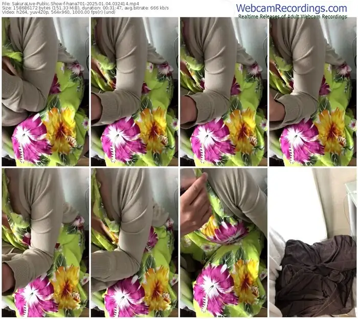 2025/01/04/sakuralivejp-hana701-03-24-14