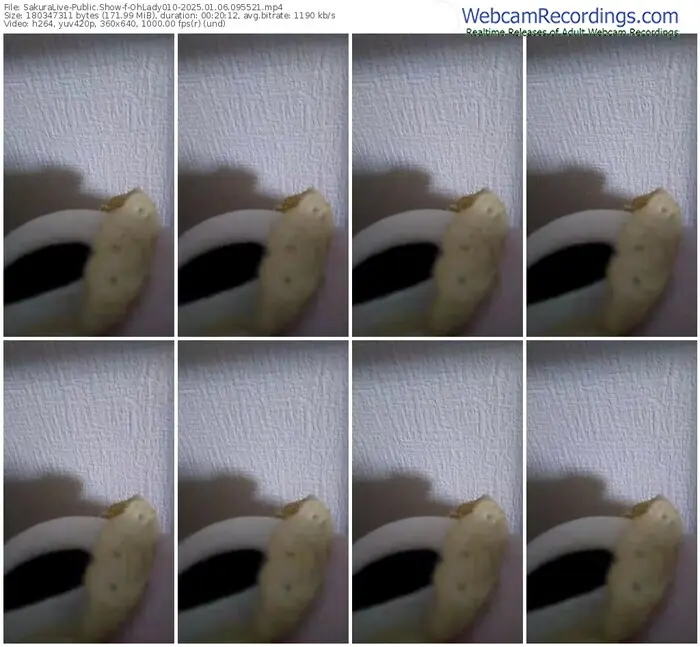 2025/01/06/sakuralivejp-ohlady010-09-55-21