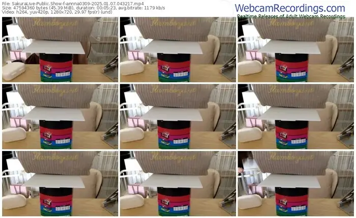 2025/01/07/sakuralivejp-annna0309-04-32-17