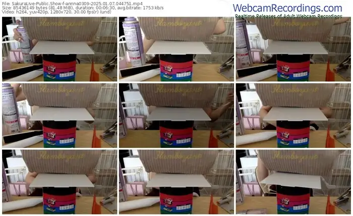 2025/01/07/sakuralivejp-annna0309-04-47-51