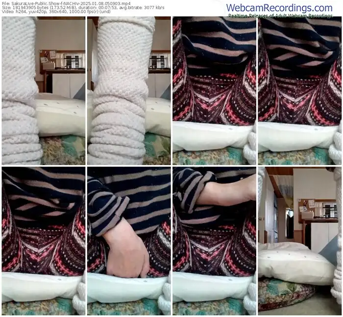 2025/01/08/sakuralivejp-nachiv-05-09-03