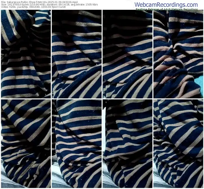 2025/01/09/sakuralivejp-nachiv-04-31-09