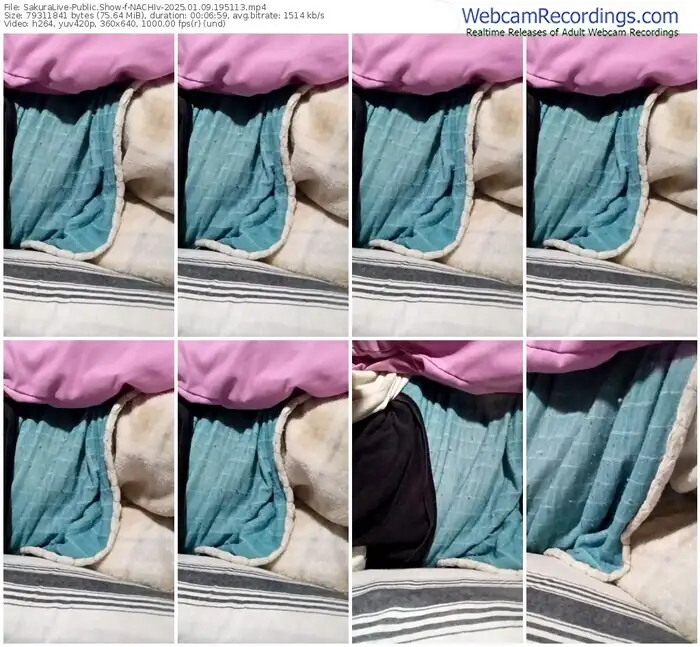 2025/01/09/sakuralivejp-nachiv-19-51-13