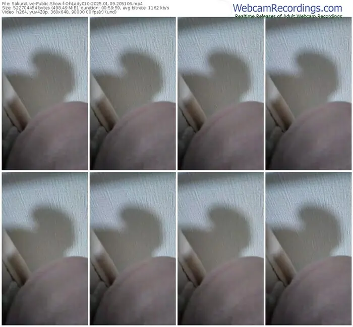 2025/01/09/sakuralivejp-ohlady010-20-51-06