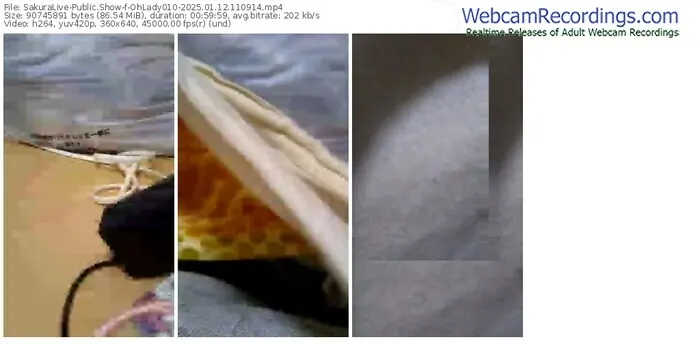 2025/01/12/sakuralivejp-ohlady010-11-09-14