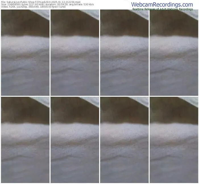 2025/01/12/sakuralivejp-ohlady010-21-22-39