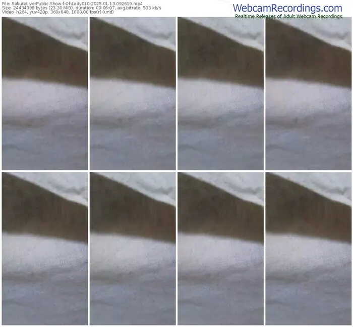 2025/01/13/sakuralivejp-ohlady010-09-26-19