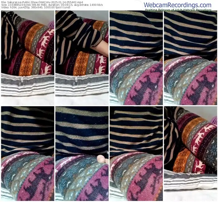 2025/01/14/sakuralivejp-nachiv-05-54-42