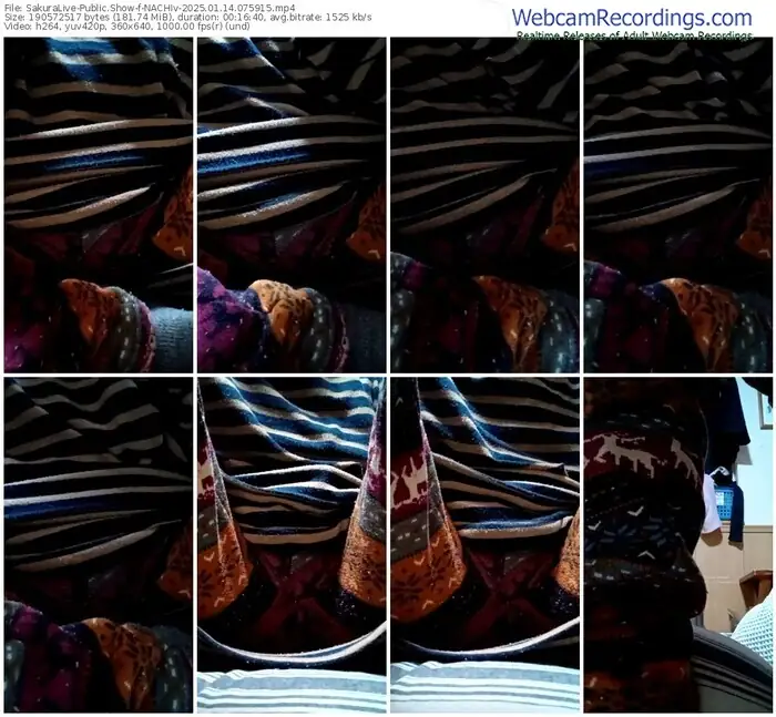 2025/01/14/sakuralivejp-nachiv-07-59-15