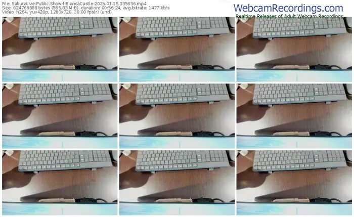 2025/01/15/sakuralivejp-biancacastle-03-56-36