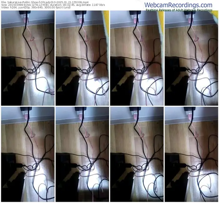 2025/01/21/sakuralivejp-ohlady010-15-53-39