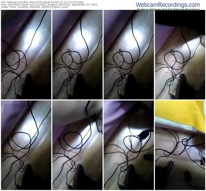 2025/01/21/sakuralivejp-ohlady010-17-10-15