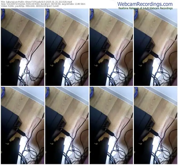 2025/01/21/sakuralivejp-ohlady010-21-10-29