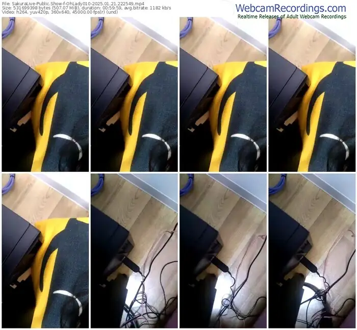 2025/01/21/sakuralivejp-ohlady010-22-25-49