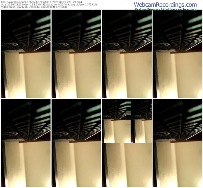 2025/01/22/sakuralivejp-ohlady010-23-31-29