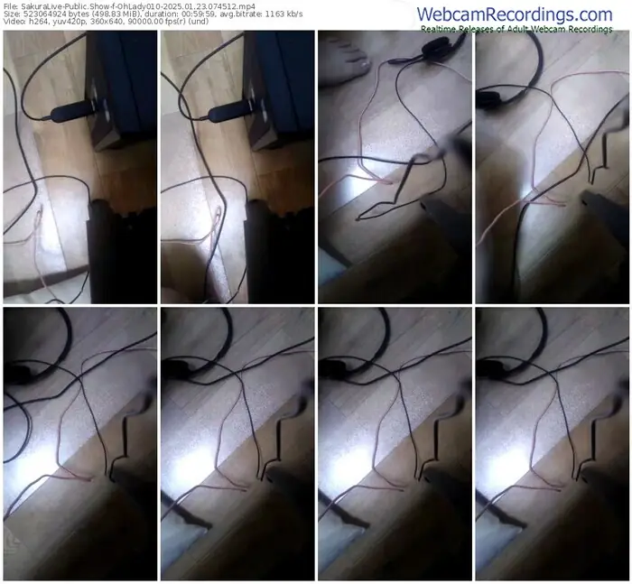 2025/01/23/sakuralivejp-ohlady010-07-45-12