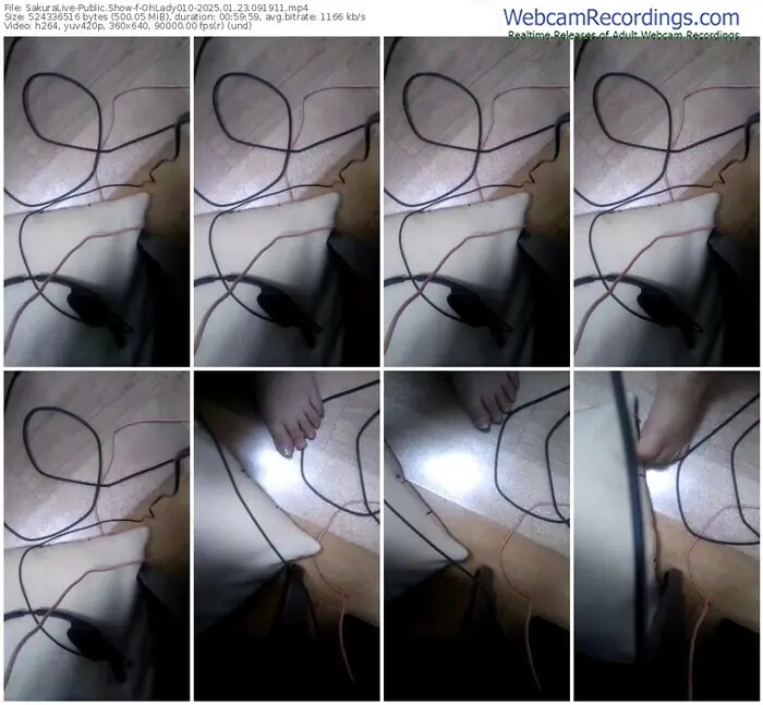 2025/01/23/sakuralivejp-ohlady010-09-19-11