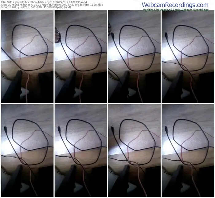 2025/01/23/sakuralivejp-ohlady010-10-27-36