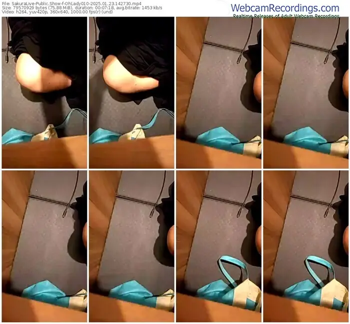 2025/01/23/sakuralivejp-ohlady010-14-27-30