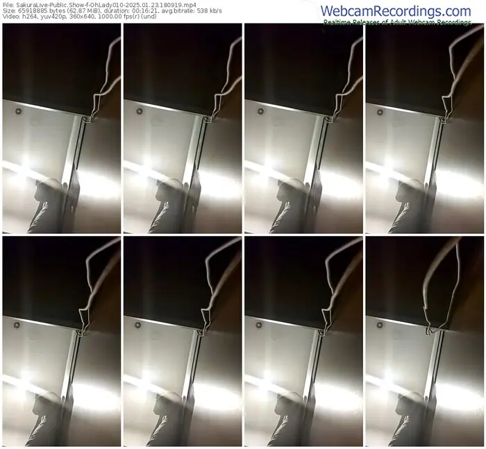 2025/01/23/sakuralivejp-ohlady010-18-09-19