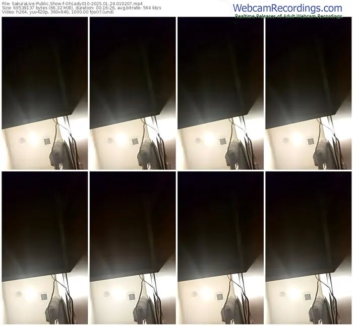 2025/01/24/sakuralivejp-ohlady010-01-02-07