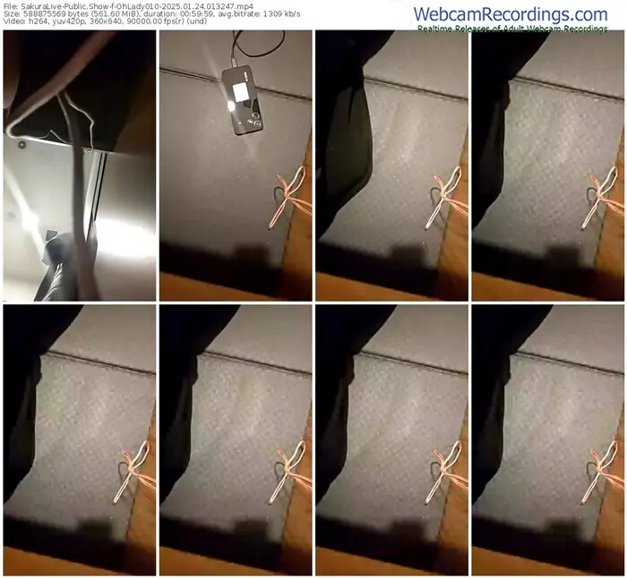 2025/01/24/sakuralivejp-ohlady010-01-32-47