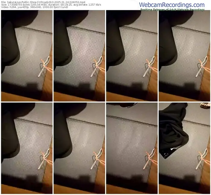 2025/01/24/sakuralivejp-ohlady010-02-40-53