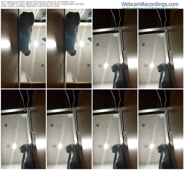 2025/01/24/sakuralivejp-ohlady010-03-38-01