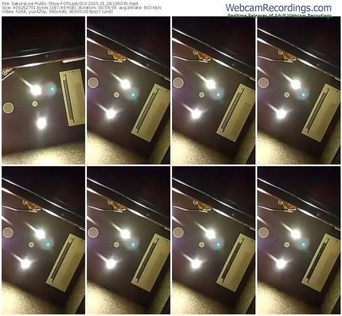 2025/01/28/sakuralivejp-ohlady010-16-50-35