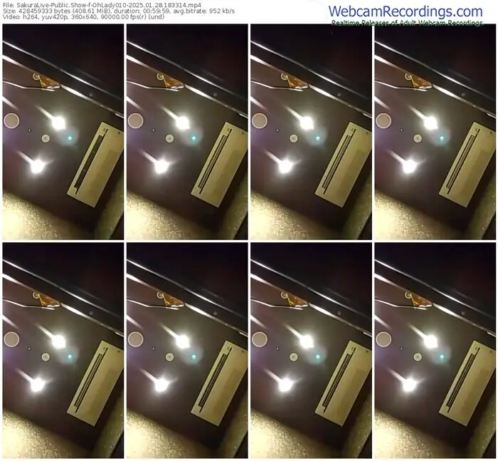 2025/01/28/sakuralivejp-ohlady010-18-33-14