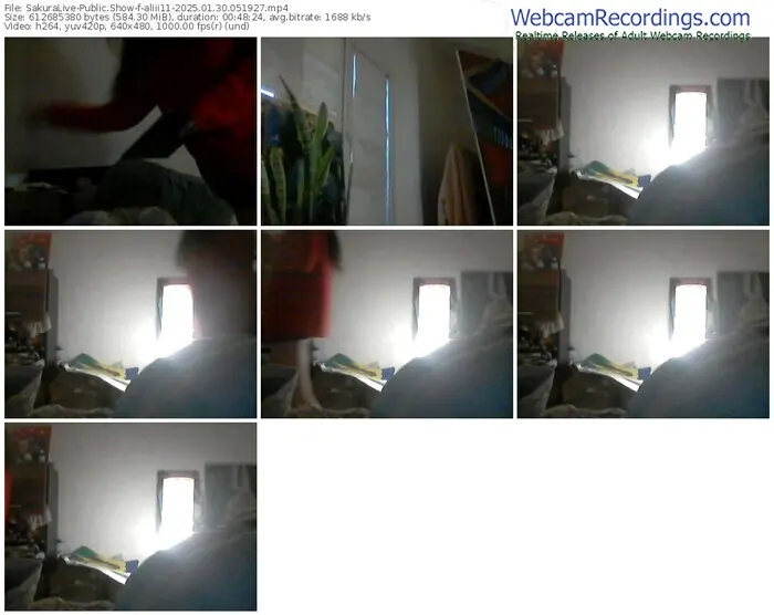 2025/01/30/sakuralivejp-aliii11-05-19-27