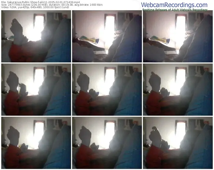 2025/02/01/sakuralivejp-aliii11-07-14-39