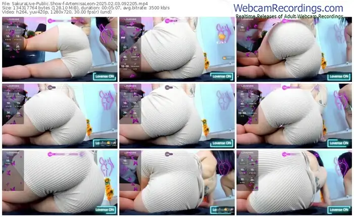 2025/02/03/sakuralivejp-artemisaleon-09-22-05