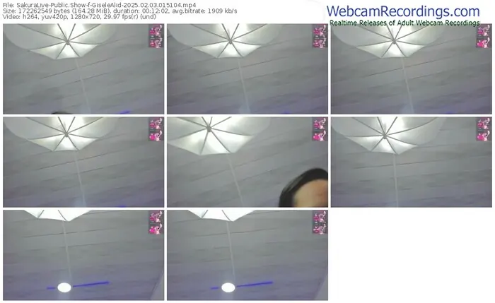 2025/02/03/sakuralivejp-giselealid-01-51-04